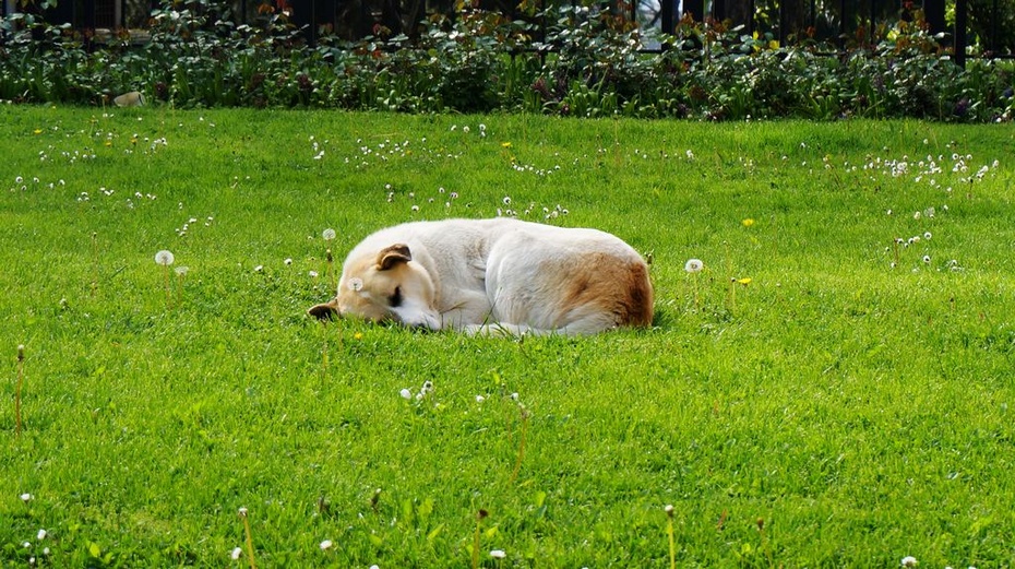 2015土耳其之旅十九——老皇宫