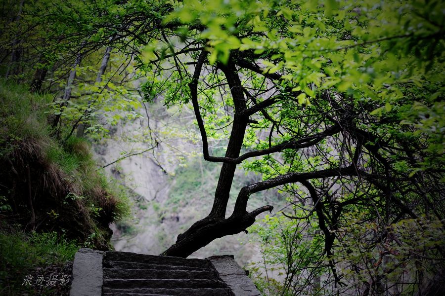 豫西山地暮春行