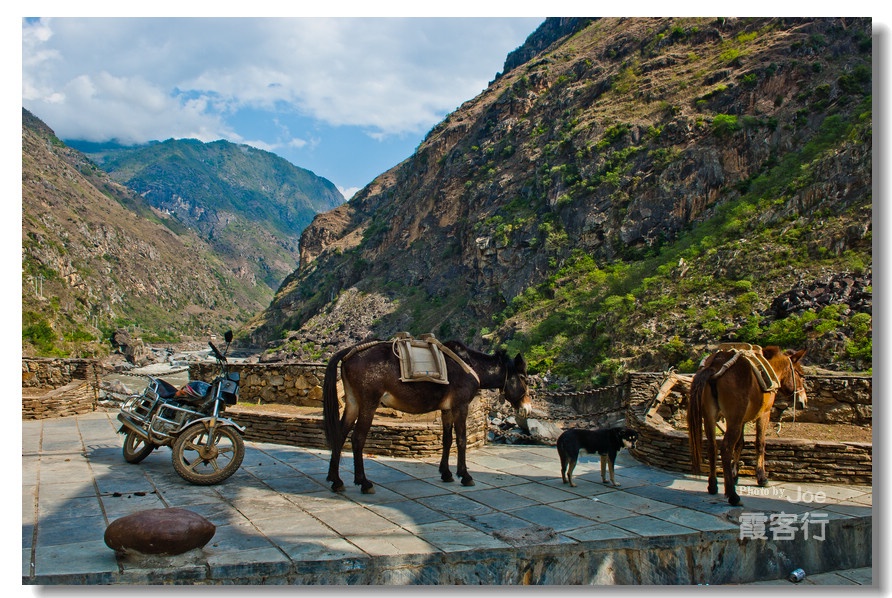 如今进山,还需要这样的马帮