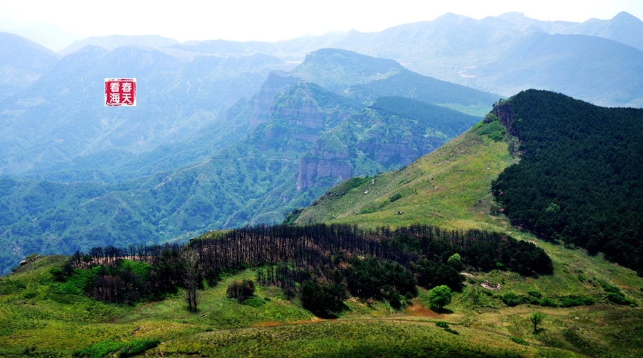 秦岭山旅游日记(秦岭山作文写景100字)