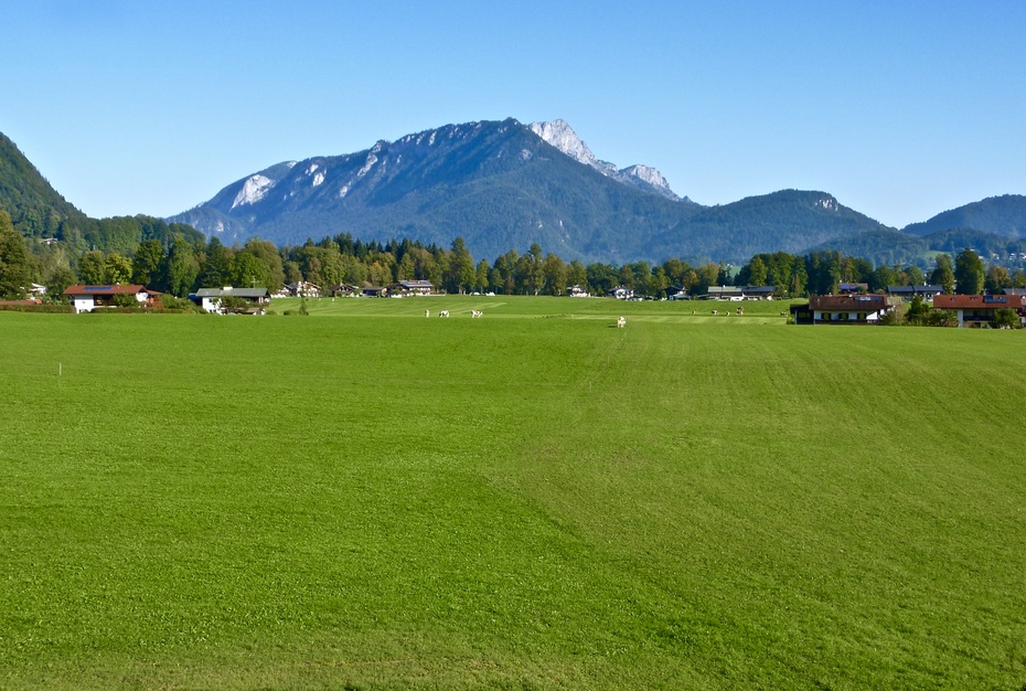 德国阿尔卑斯山原野天然牧场schoenauweideland