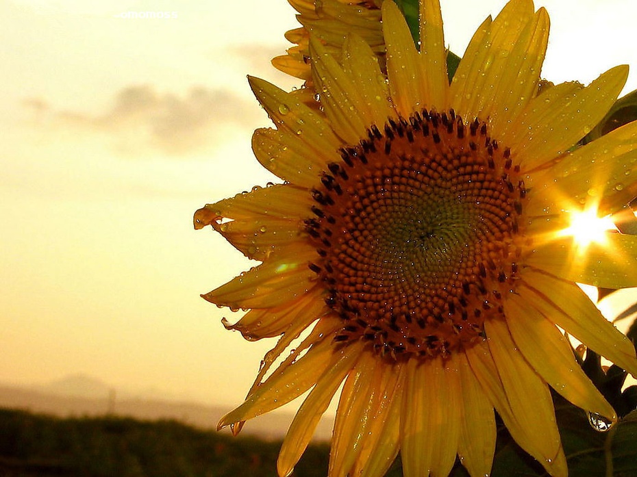命运就是你人生的潜意境.它决定了你的道路,你的未来,你的故事!