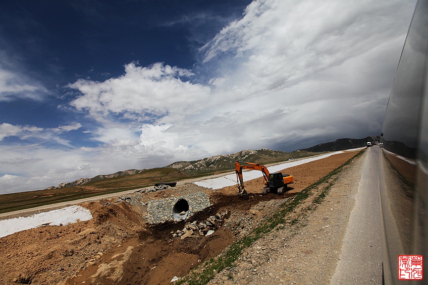 【大美青海】苦海有边,路遇野驴群