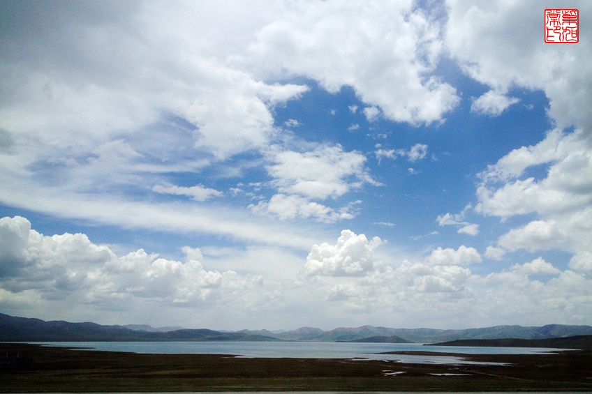 【大美青海】苦海有边,路遇野驴群