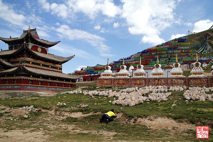 【大美青海】兴海温泉镇,炕锅羊肉