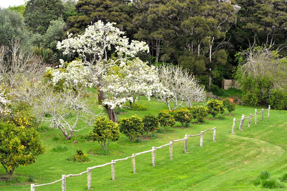 新西兰凯利凯利小镇的童话世界