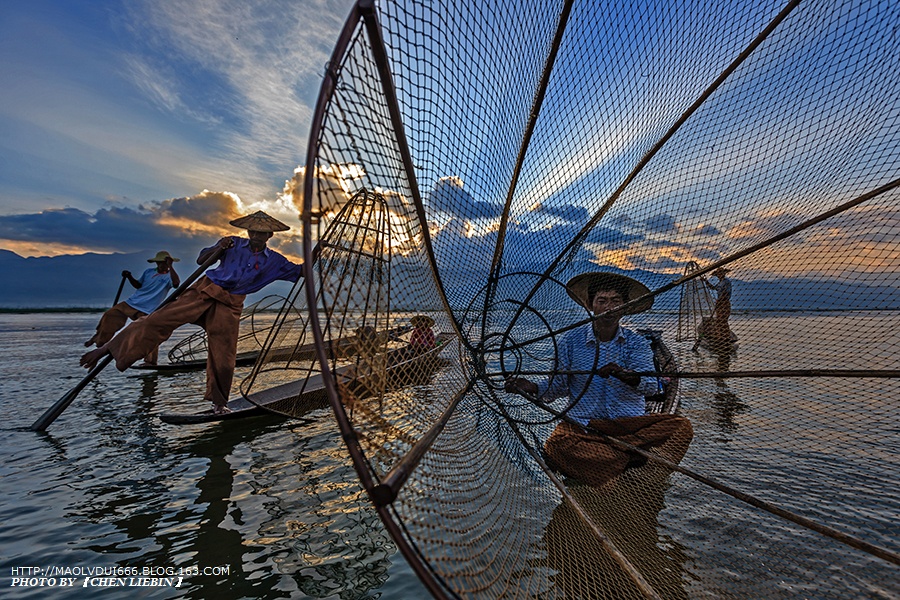 筐身是鬆鬆的魚網,當看到大魚時,漁夫會把魚筐插進水裡,把魚圈在中央