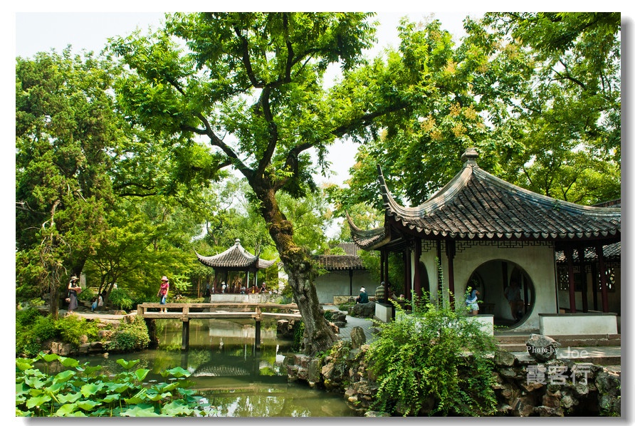 波间涌出蓬莱岛 庭院深深拙政园