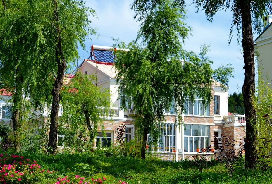 852农场3分场(20团3营)知青网