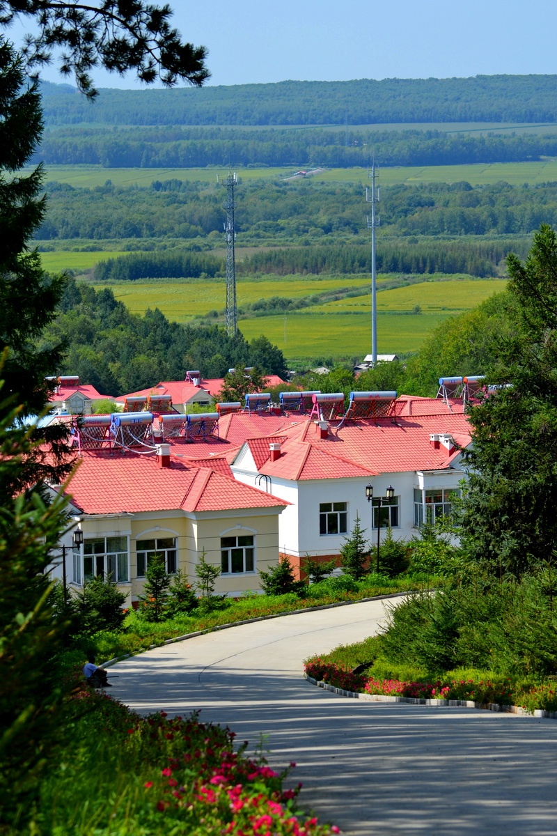 852农场3分场(20团3营)知青网