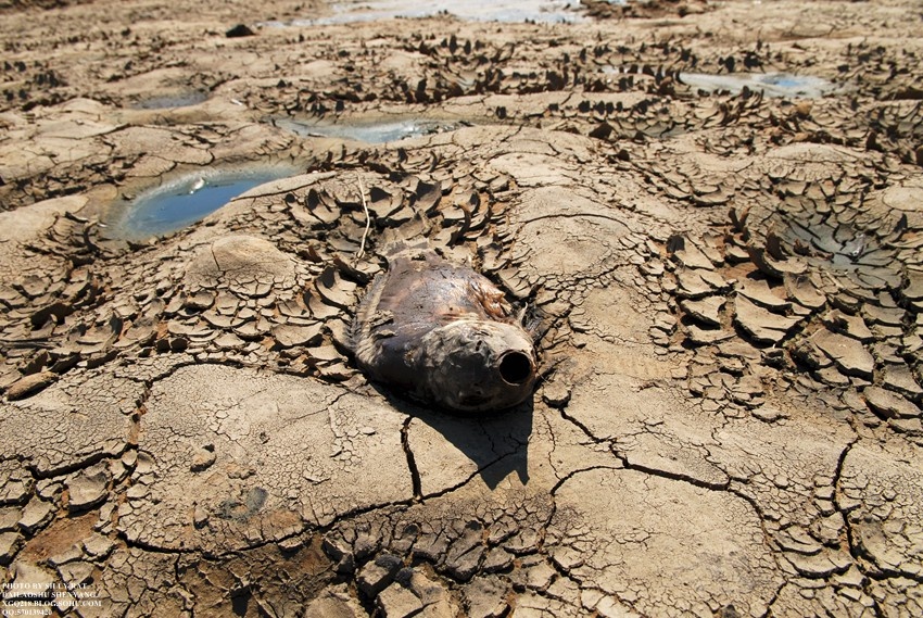 中国干旱缺水的地方新闻_比较中国和澳大利亚干旱区的地理环境ppt