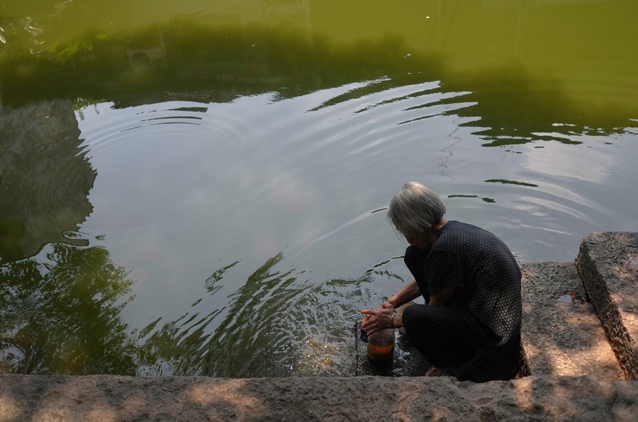 奶奶的湿地图片