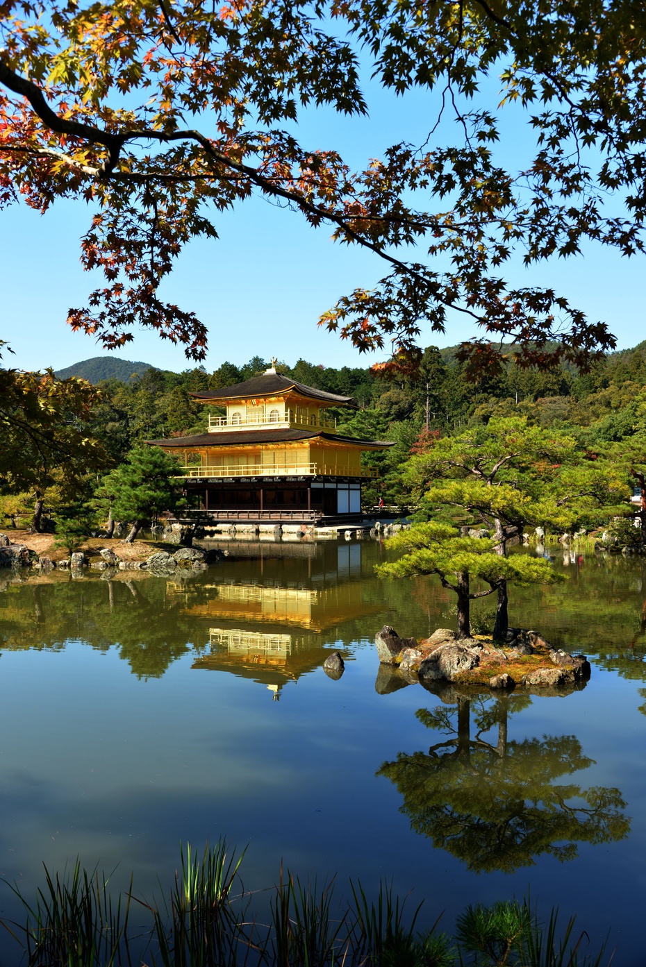 日本游记京都顺路金阁寺