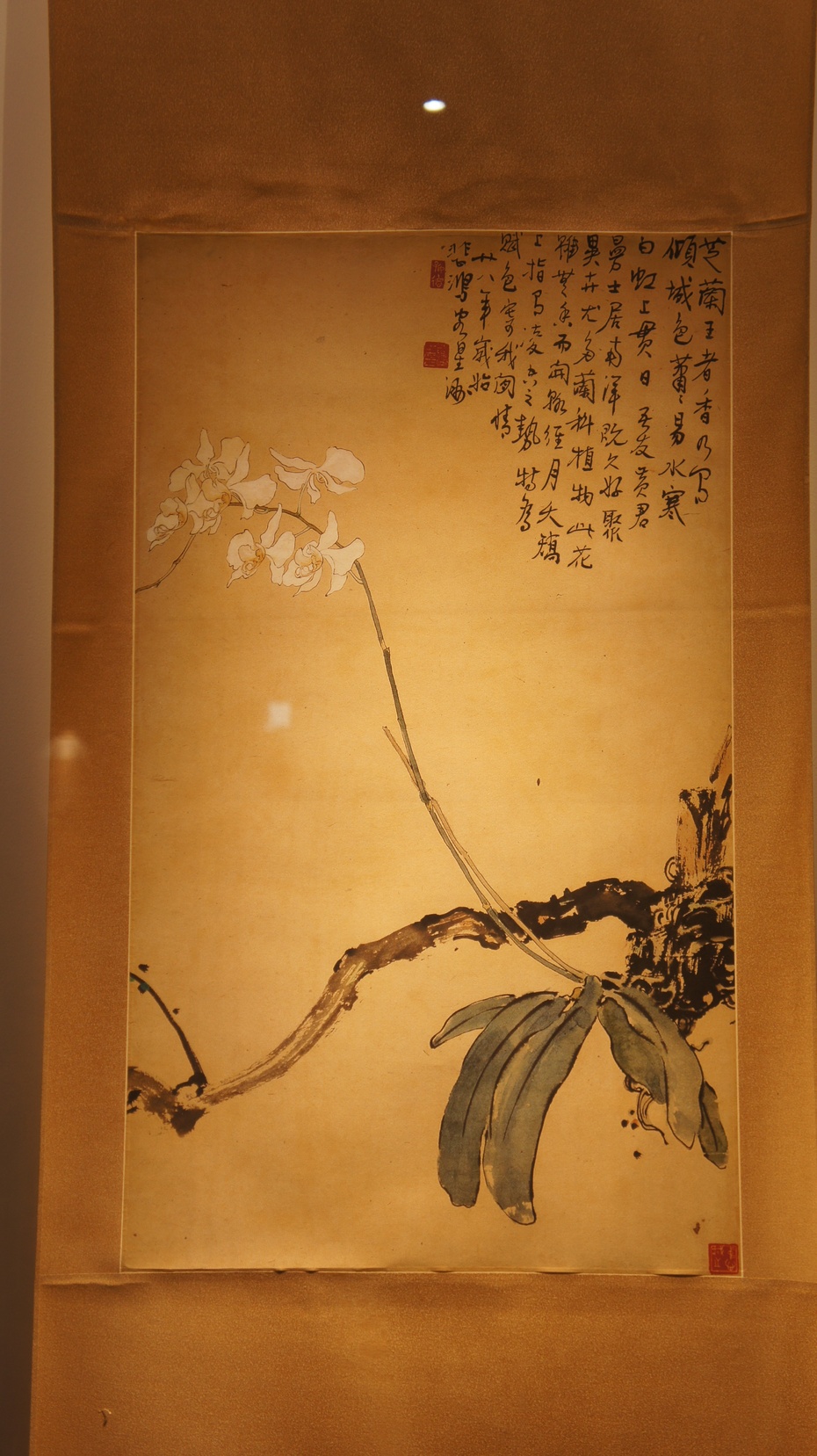 徐悲鸿经典兰花作品《铁锚兰》