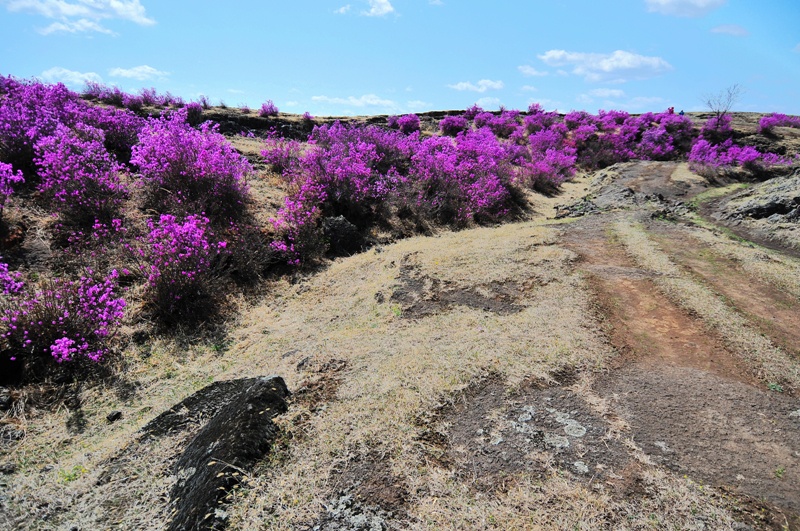 户外日志放飞梦想相约沙兰凯瑞摩户外沙兰台地徒步摄影采风活动侧记