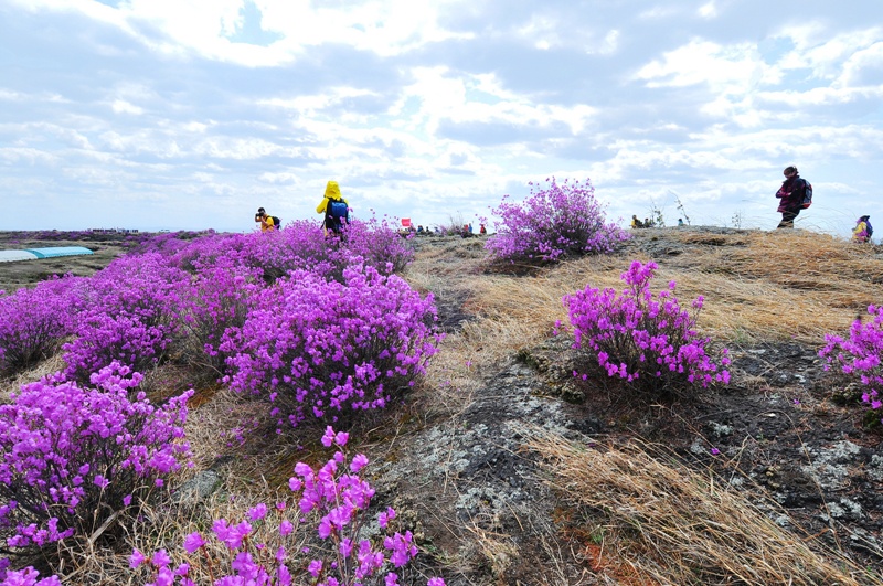 户外日志放飞梦想相约沙兰凯瑞摩户外沙兰台地徒步摄影采风活动侧记