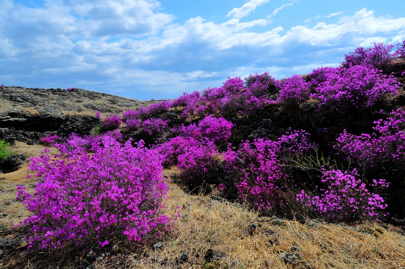 户外日志放飞梦想相约沙兰凯瑞摩户外沙兰台地徒步摄影采风活动侧记