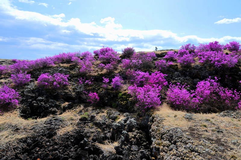 户外日志放飞梦想相约沙兰凯瑞摩户外沙兰台地徒步摄影采风活动侧记