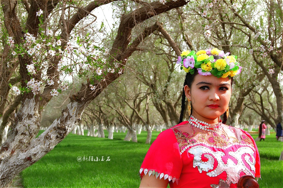 莎车县巴达姆花园内,美景,美女描绘映衬一副美丽的图画&nbsp群芳斗艳