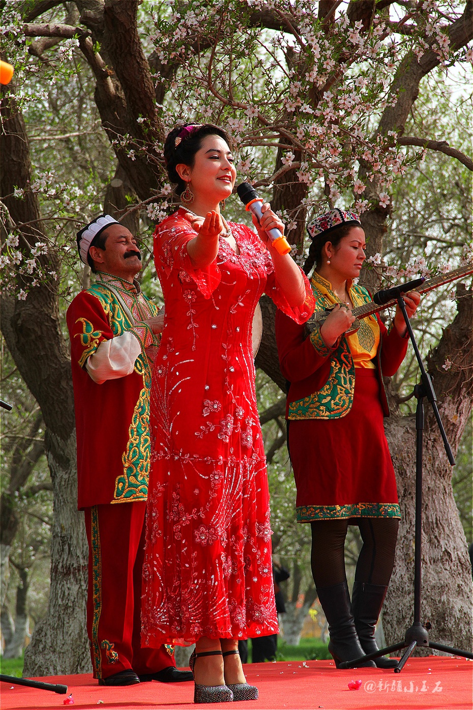 莎车县巴达姆花园内,美景,美女描绘映衬一副美丽的图画&nbsp群芳斗艳