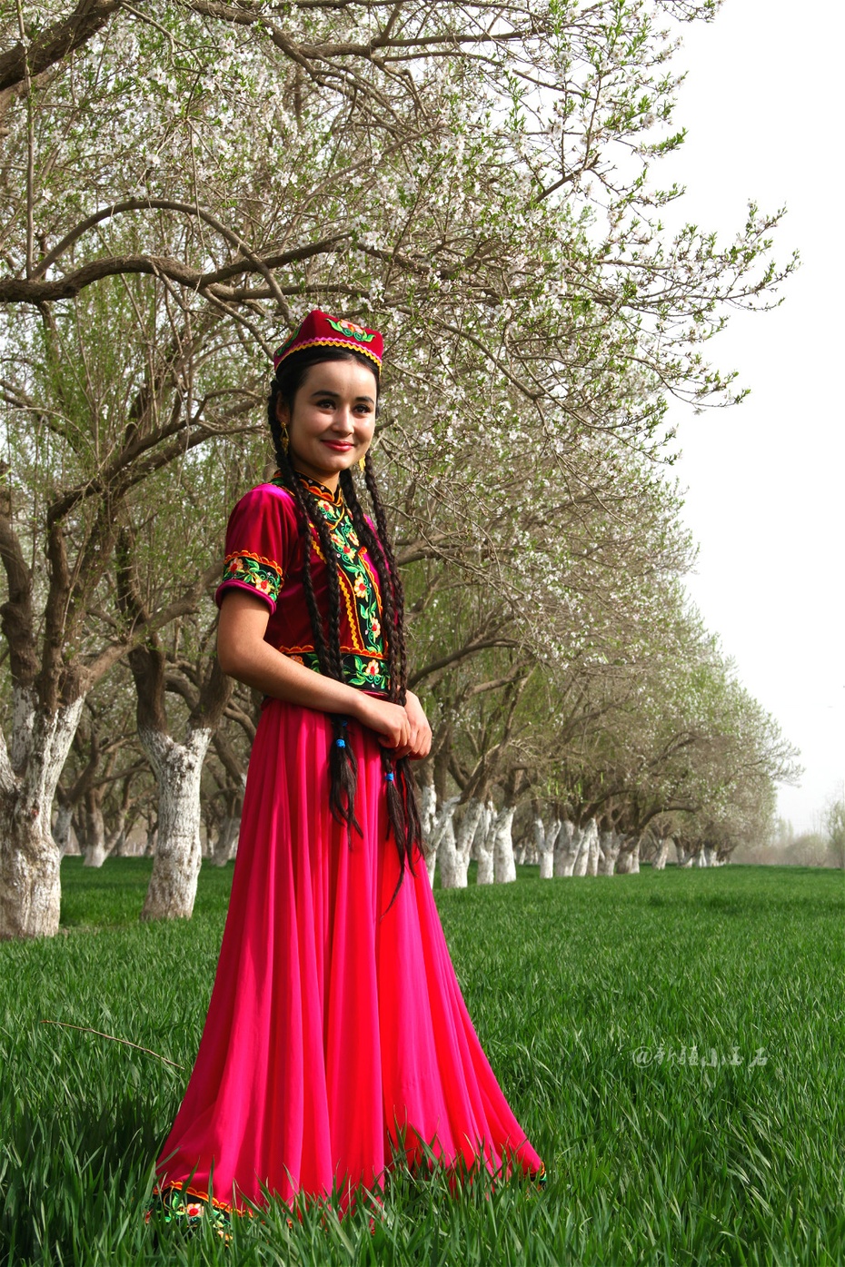 实拍新疆莎车县文化旅游暨第六届巴旦姆花节开幕