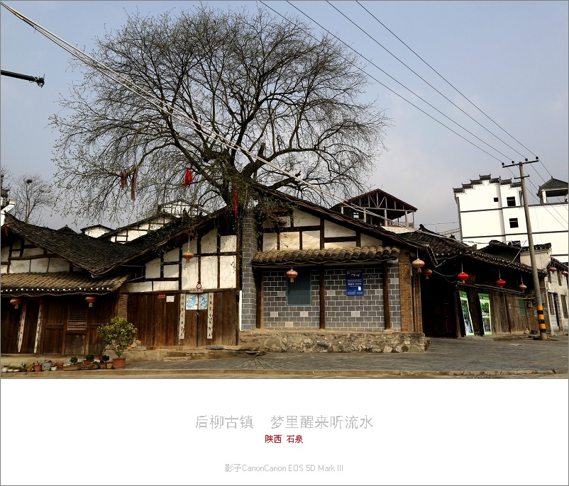 陕南黄金花海 壮美视觉盛宴