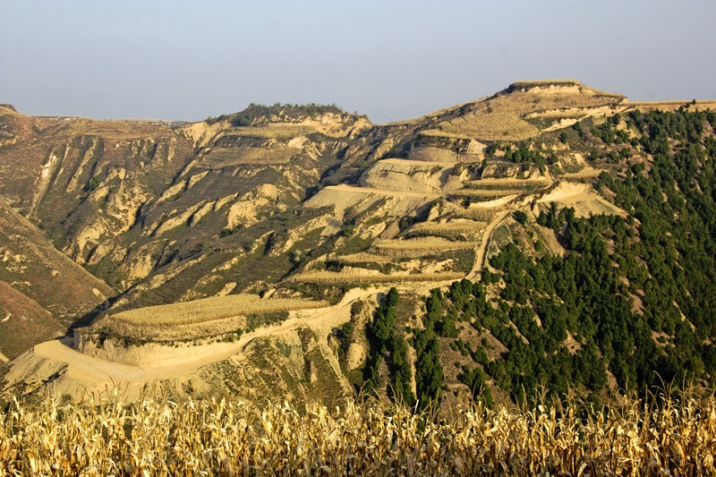 &nbsp; 奇怪的是虽然山高崖陡,沟谷深幽,从山上常常望不到沟底.