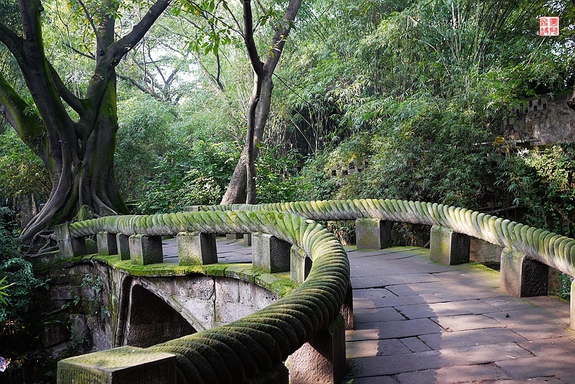 鹅岭公园绳桥图片