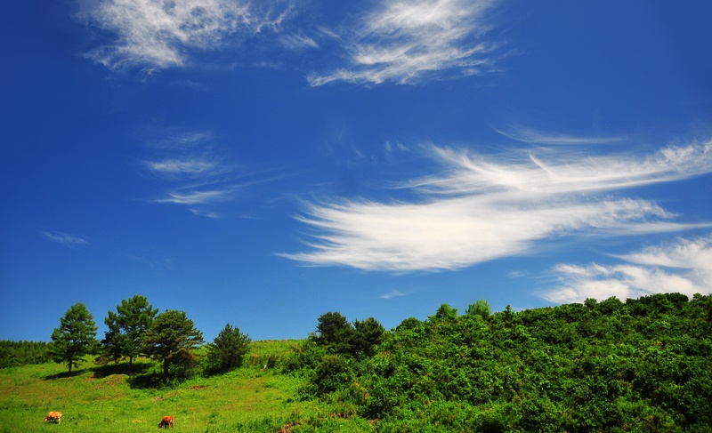 户外日志放马南山下纵歌白云间