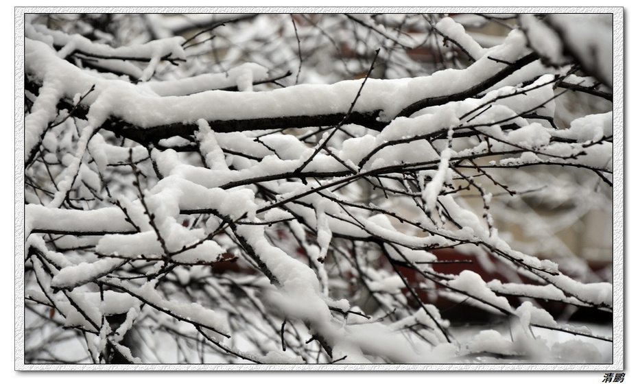 "一样的天空雪落下"
