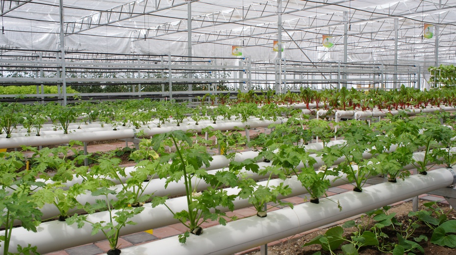 河北农林科学院_河北省农业科技大学_河北农林科技学院