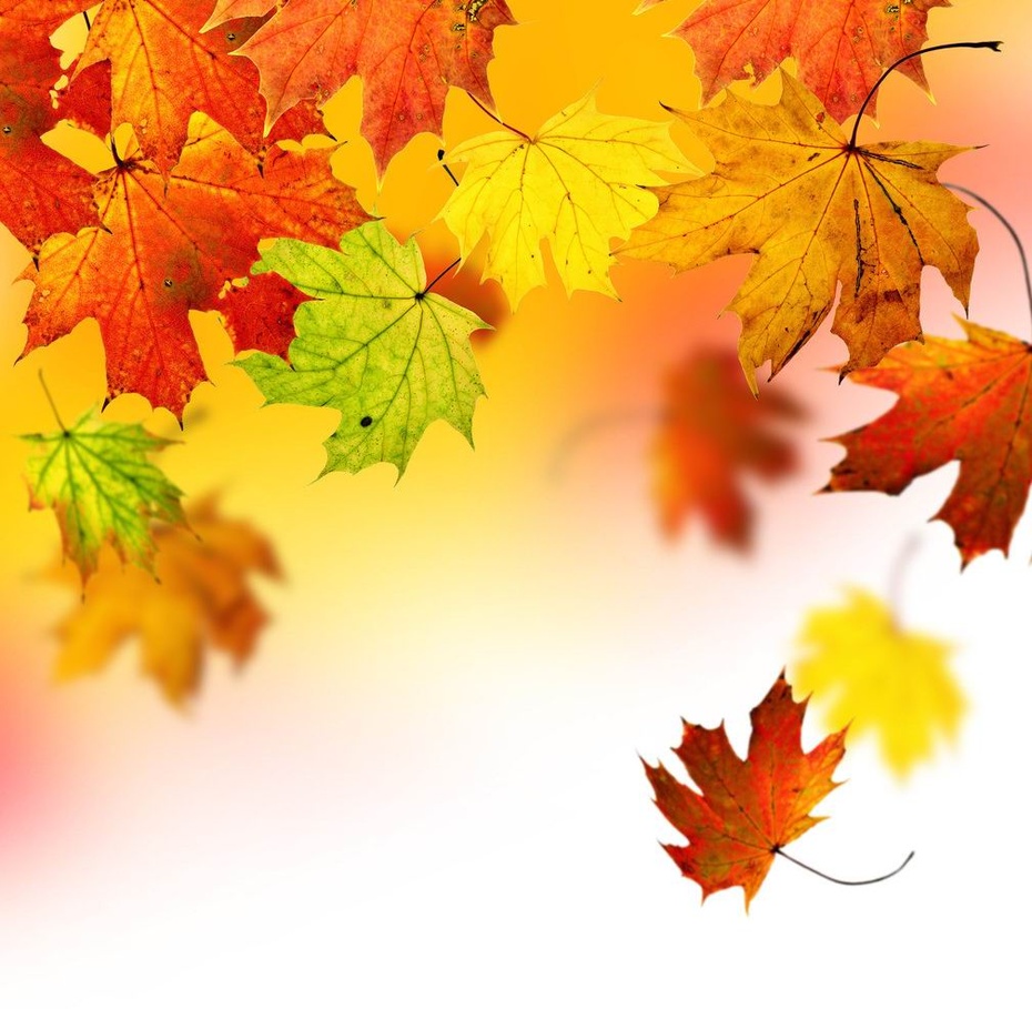 我用秋天的每一缕微风,谱出一曲世间最美的和声.