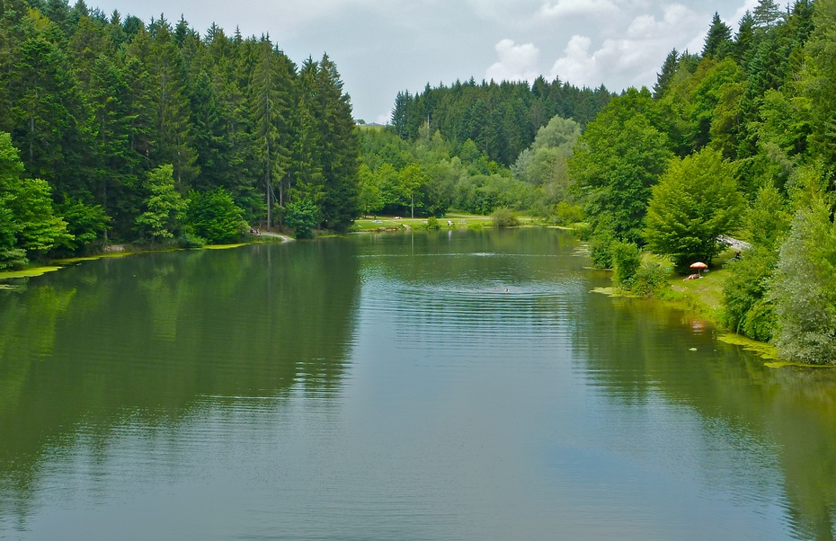 一湾清透的湖水一条绿色的长堤一片浓郁的森林一方青翠的草地一间深红
