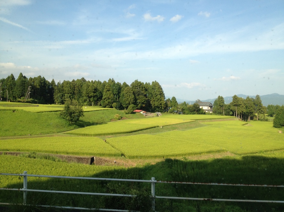 日本之行 day 3 ----骏河湾,御殿场,忍野八海,富士山,温泉料理 - just