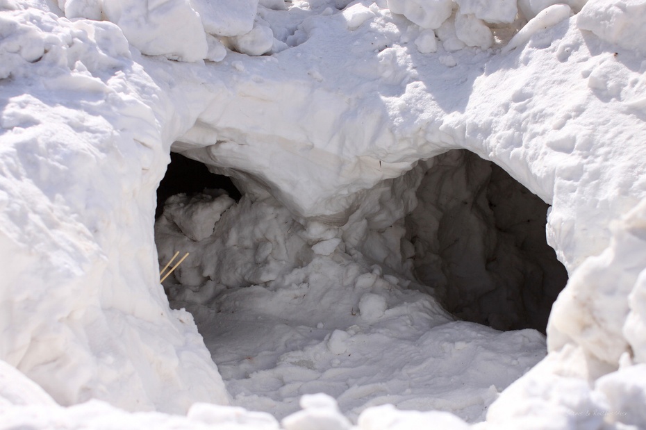 少雪的冬天两次入住雪洞,这个雪季心满意足!