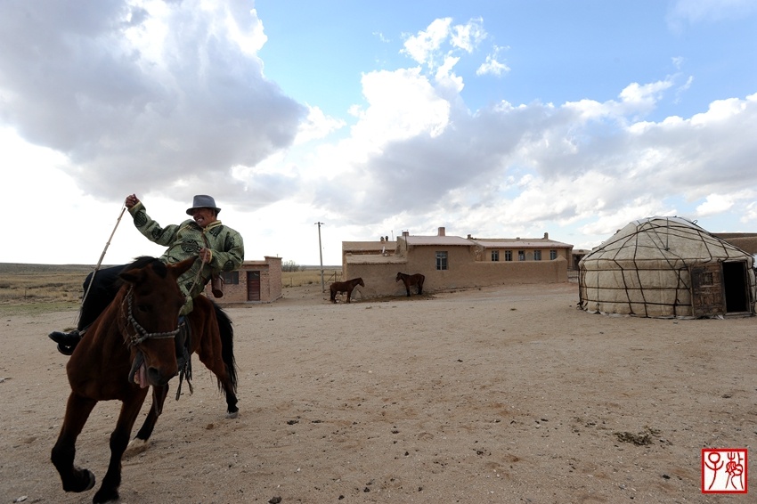 内蒙古达茂旗"马王"的真实生活