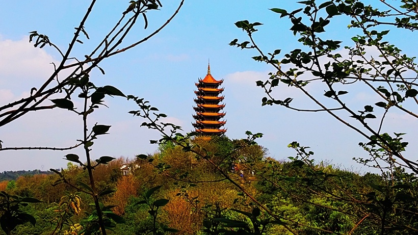 重庆照母山一游.