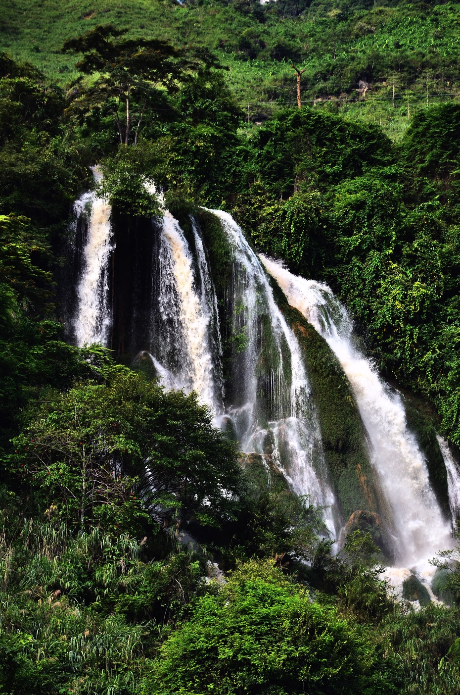 八里河东山照片图片