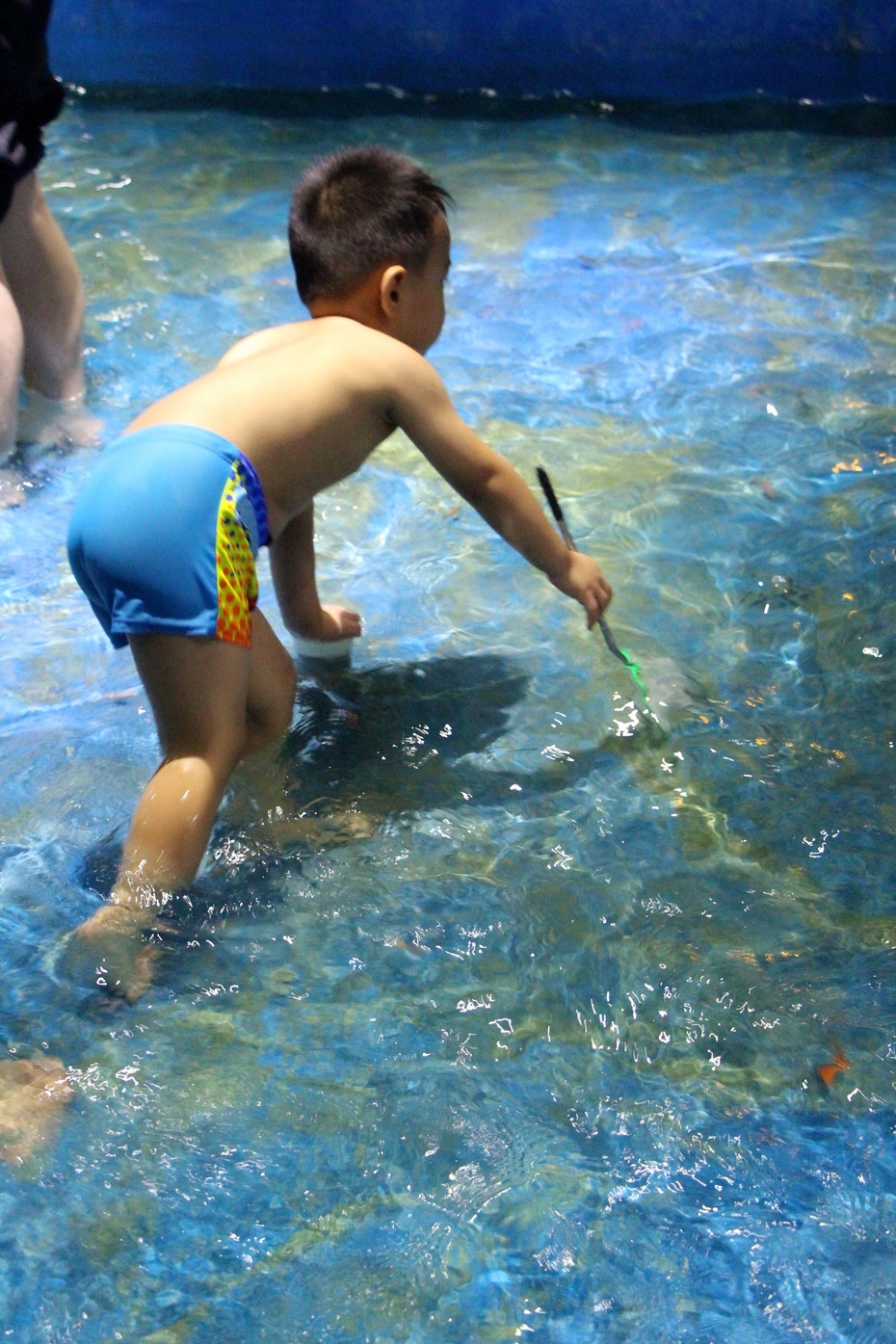 最后赤膊上阵~~继续带着爸爸玩吧~~等待11点30的海豚表演~~想念不知