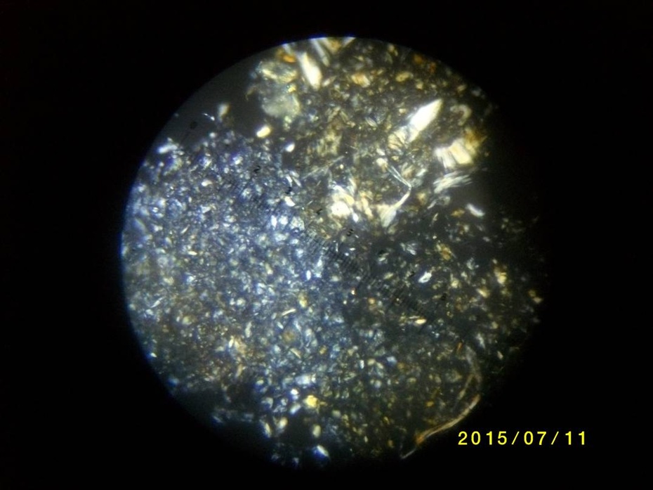 显微结构特征:透闪石结晶呈纤状,柱状集合体.