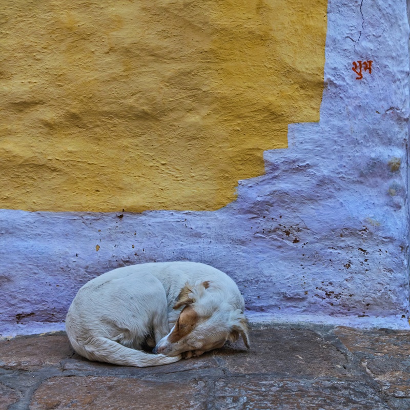 ͼƬ19