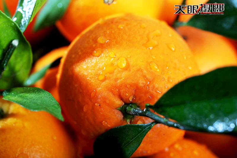 【天眼聚焦】美丽资兴脐橙比蜜甜 - 南无无量音声王佛 - 天下第一善