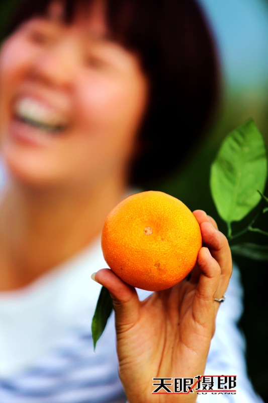 【天眼聚焦】美丽资兴脐橙比蜜甜 - 南无无量音声王佛 - 天下第一善