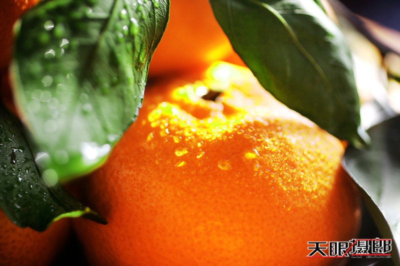 【天眼聚焦】美丽资兴脐橙比蜜甜 - 南无无量音声王佛 - 天下第一善