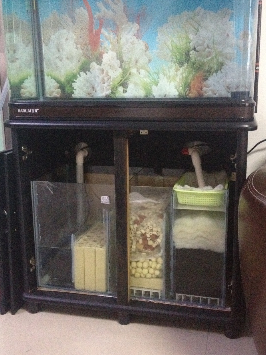 80成品鱼缸改虹吸底过滤