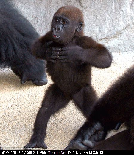 "捶胸"解郁也是一良方 - 海军航空兵的日志 - 网易博客