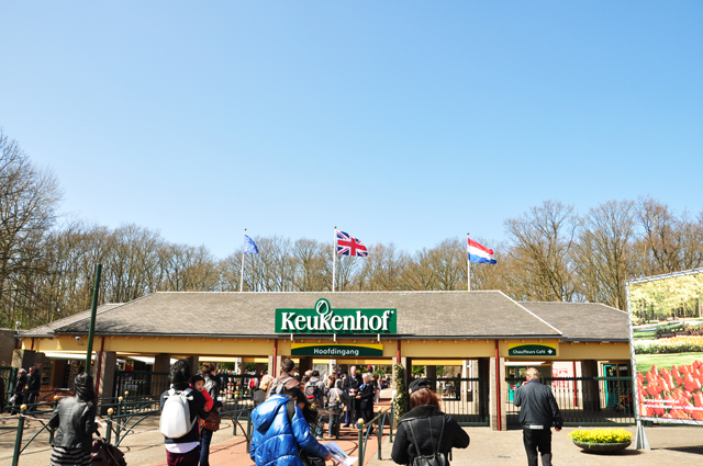 荷兰行:两大世界瞩目的人文风光