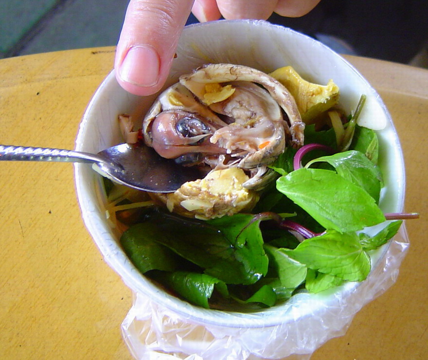 鸭仔蛋&nbsp;&nbsp