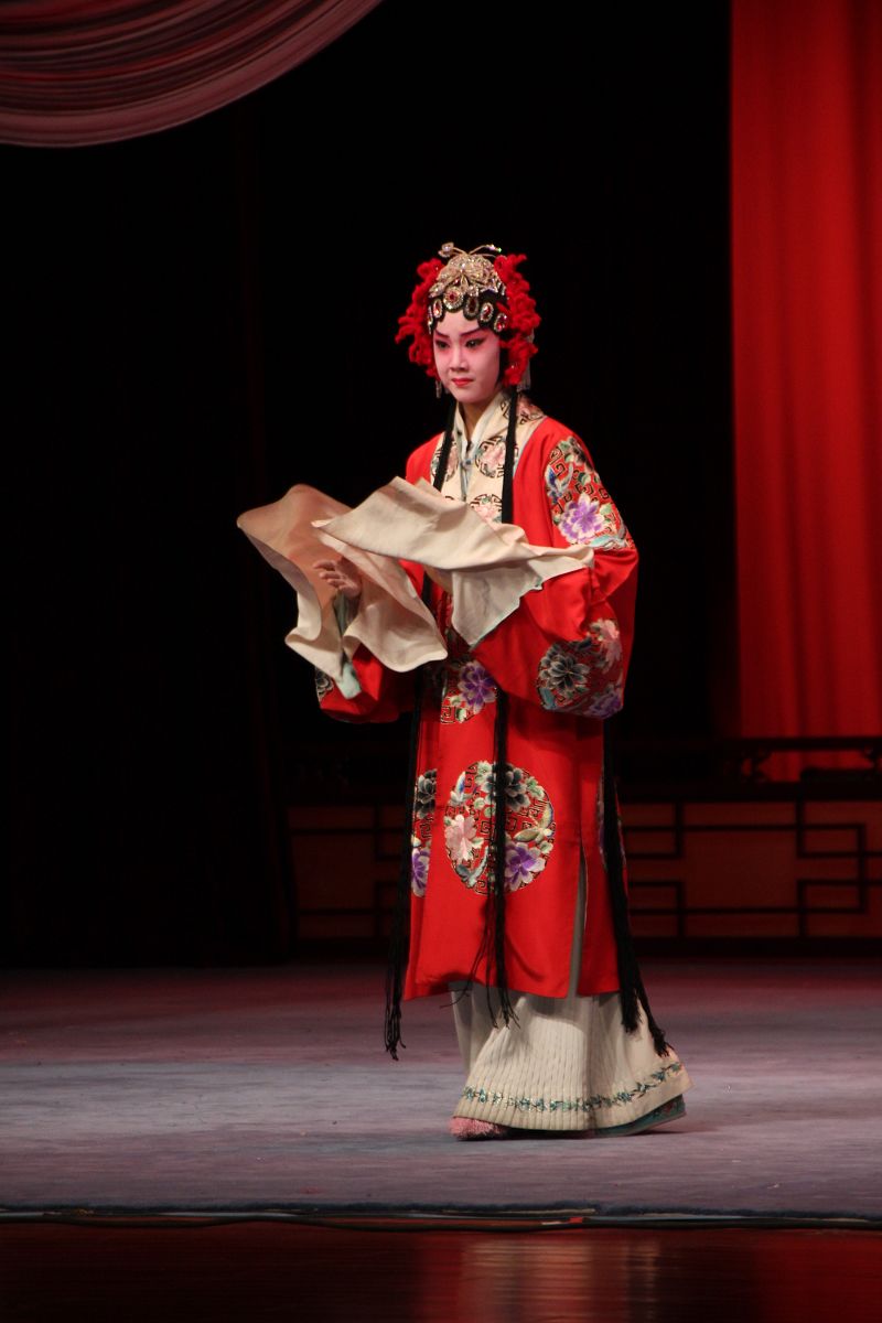 襄友观赏珍珠衫