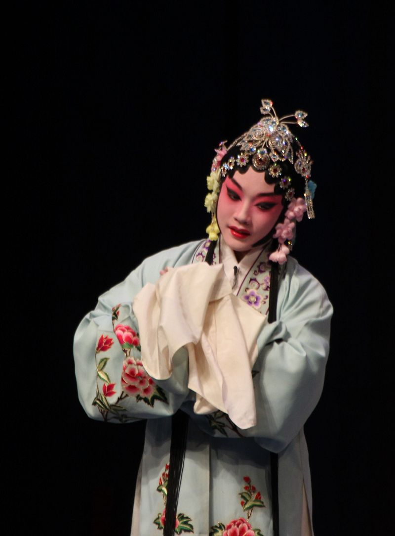 襄友观赏珍珠衫